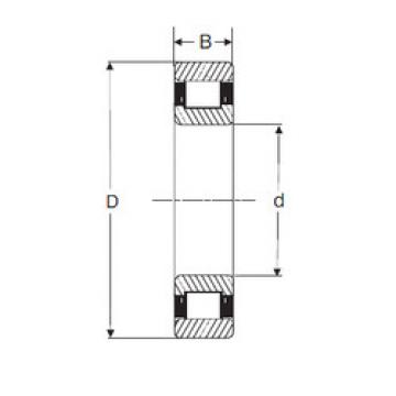 Подшипник RXLS 8E SIGMA