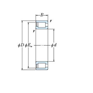 Bearing NCF3084V