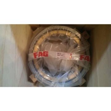 New FAG Schaeffler Cylindrical Roller Bearing NU2240-E-M1 / NU2240EM1