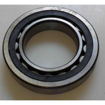 FAG Bearing NU218E-TVP2  &gt;&gt;&gt;NEW&lt;&lt;&lt;  NU218E   TVP2