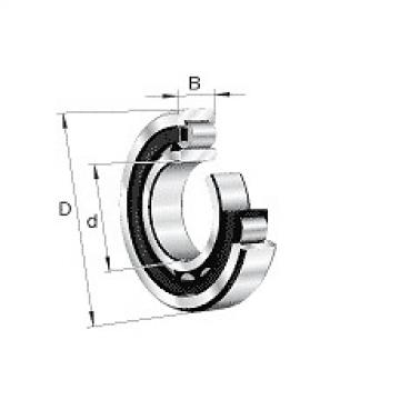 NU326E.M1.C4 FAG Cylindrical Roller Bearing Single Row