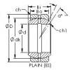 Подшипник GEF100ES AST